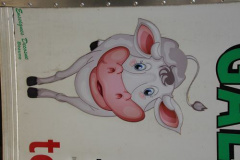 2105-CC-Noisiel-Mai-089