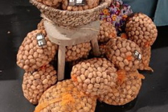 Cette photo 2512 CC Noisiel Automne_15.jpg, a été réduite de 99.07 % le Vendredi 16 Janvier 2026 à 16:01 par Emjysoft Photo Réducteur v6.1 à télécharger sur https://www.emjysoft.com/