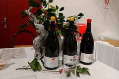 2312-Noisiel-dec-13