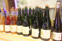 2411-Roissy-Novembre-014