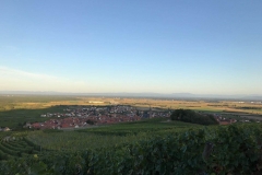 copie-0_1908-Perner-Alsace-20